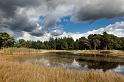 30 Hoge Veluwe